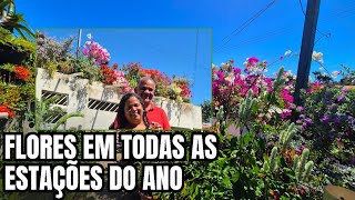 FLORES EM TODAS AS ESTAÇÕES DO ANO: BUGANVÍLIAS DE DIVERSAS CORES, CAMARÕES, FLORES DA VOVÓ EM VASOS