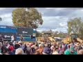‘Absolutely huge’: Farmers protest against government’s live sheep export ban