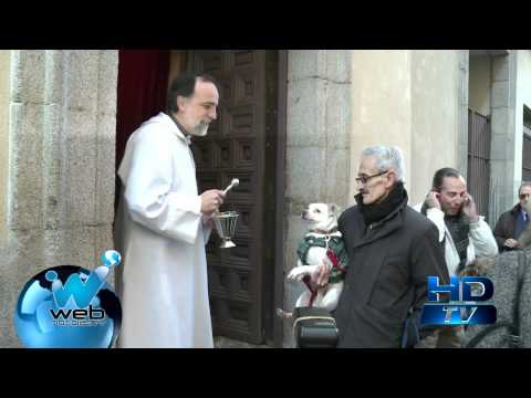 En España hubo largas filas de perros para ser bendecidos