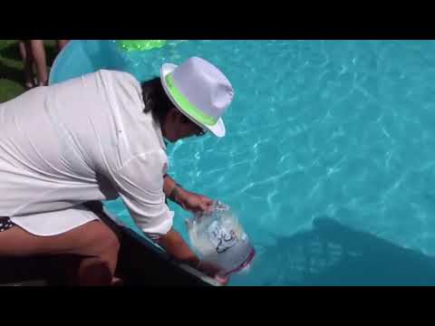 Cold-Water-Bier-Challenge, Schützenverein Hustedt von 1919 e. V.