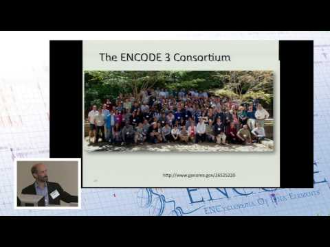 ENCODE - Michael Snyder