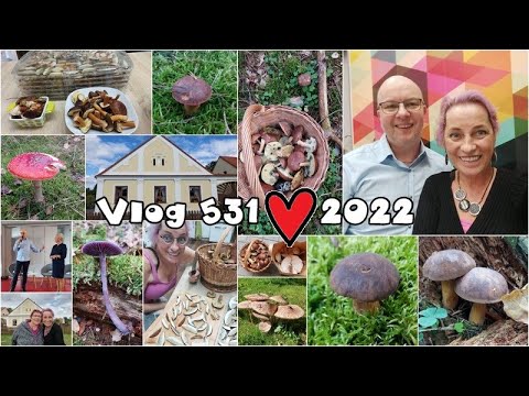 Vlog 531/22 - houby a René Kekely