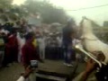 Nagpur Dancing Horse 9822728181