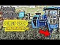 Olive Orchard -How to Sow & Harvest Olives in Farming Simulator 23 ll Details Video of FS23 ll