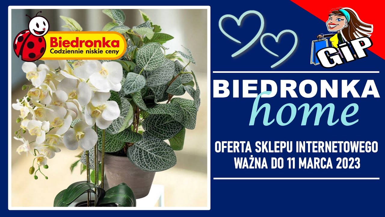 BIEDRONKA | Oferta Online do 11.03.2023 | Sztuczne Kwiaty | Zupełnie jak Żywe