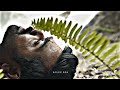 Enodu Erunthavale Anirudh Song Whatsapp Status