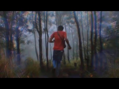 Psy MiniMix |Parra Nebula - UstillDirty|