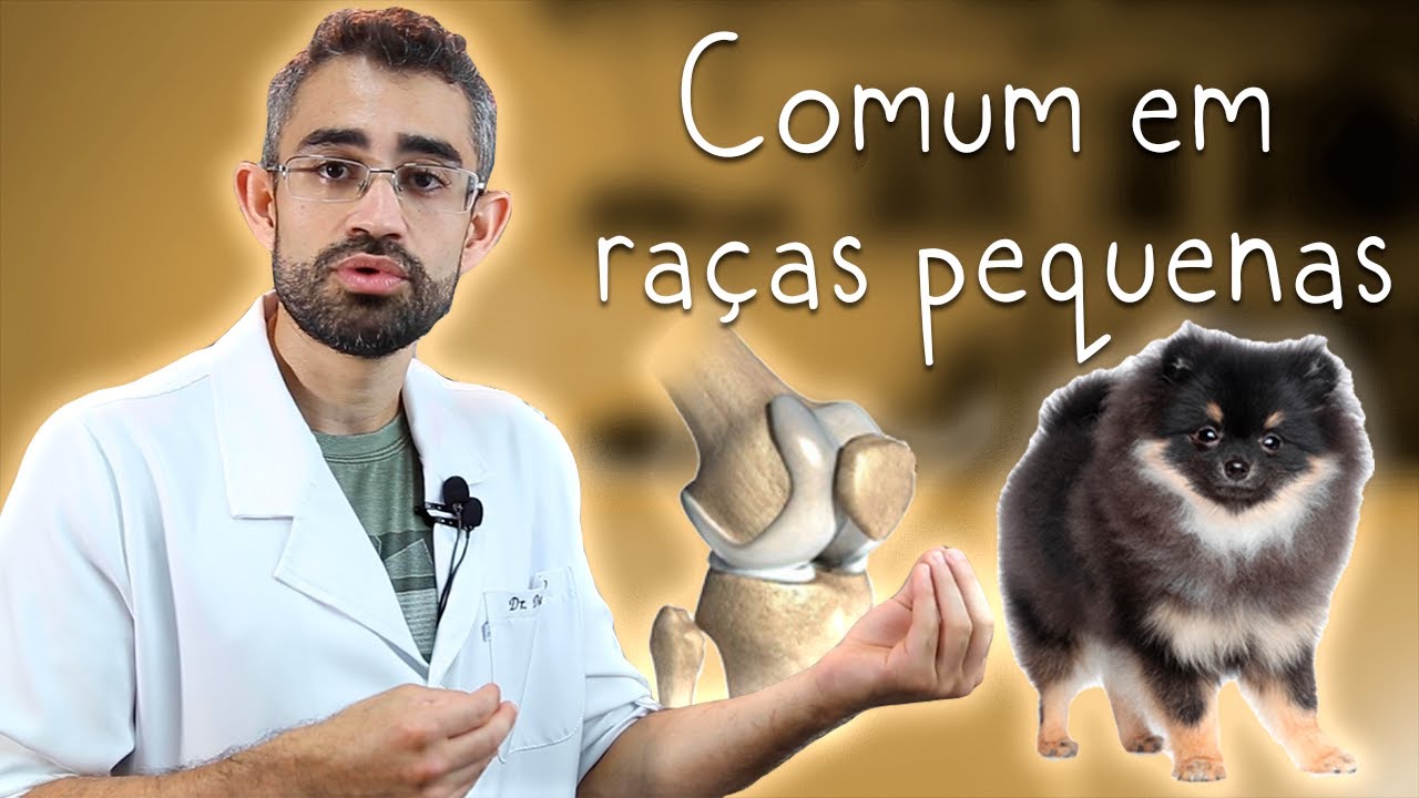 Luxação de patela | Dica Veterinária #81