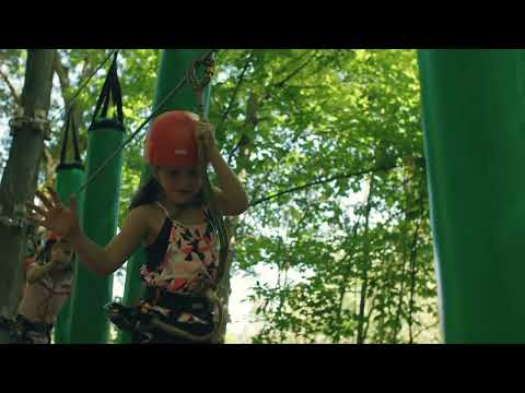 Treetop Trekking | Discovery Course Activity