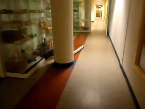 My ruined building - 10-08-2009 - 8 - Monday