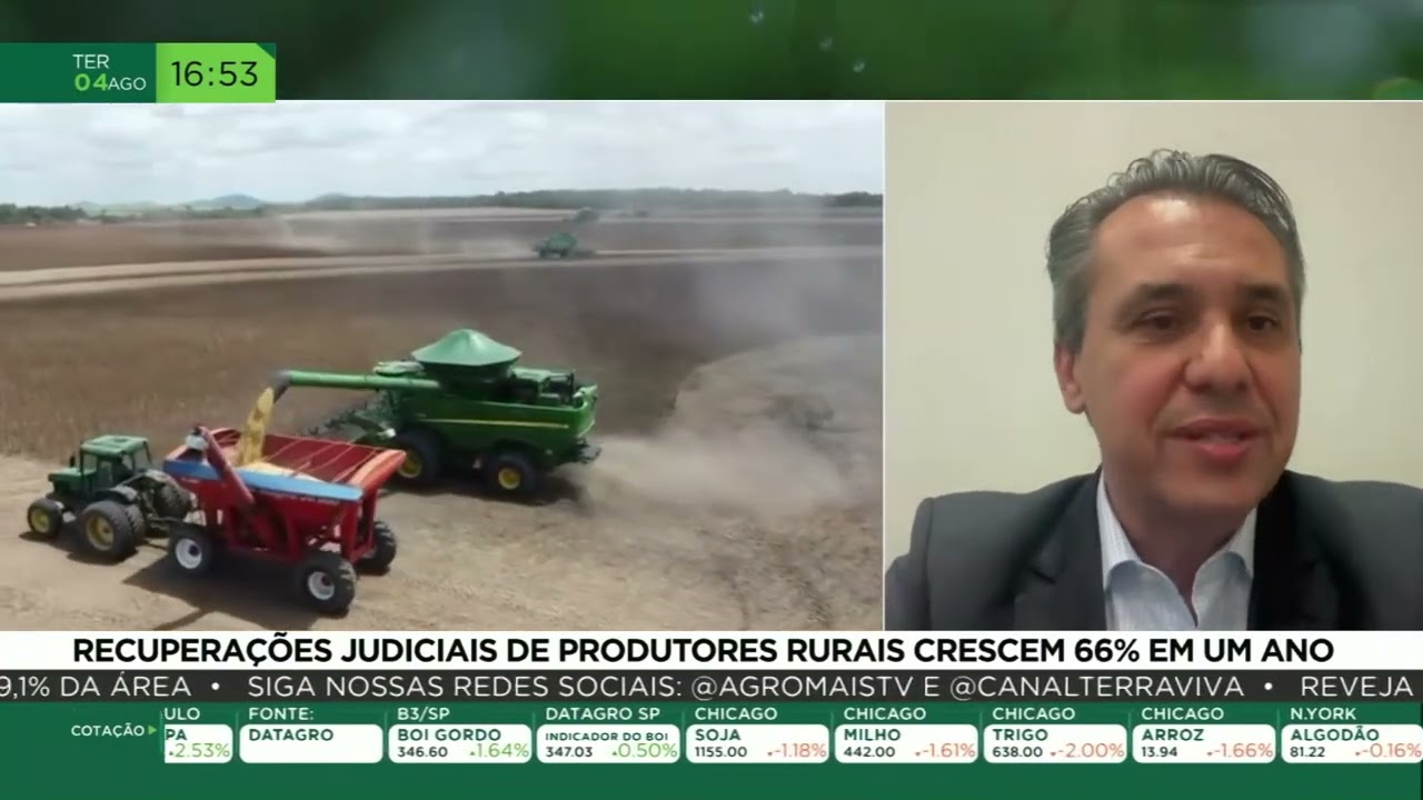 Recuperações judiciais de produtores rurais crescem 66% em um ano