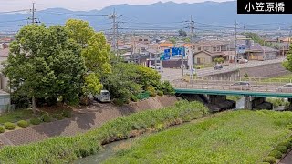小笠原橋ライブカメラ live webcam