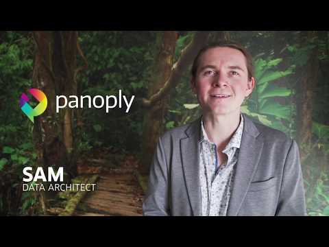 image-What platforms does panpanoply run on? 