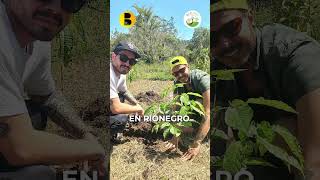 ¡Un enorme agradecimiento a DDB!