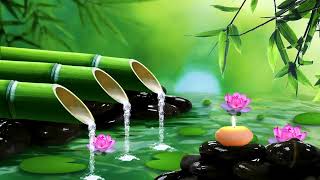 Relaxing Music 💦 Sounds of Water for Healing the Soul and Stress Relief