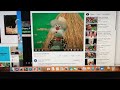 Sesame Street Journey To Ernie Old MacDonald S Farm Part 1