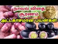 நாவல் கொட்டை பொடி பயன்கள் Naval Kottai Powder Benefits J
