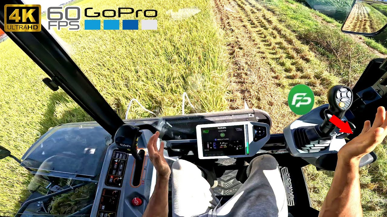 【コンバイン】直進キープ GPS自動操舵　クボタDR6130GS稲刈り【オペレーター目線】2025