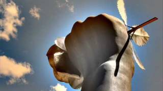 Jask feat Jocie - Surrender Your Love (Jask's Original Mix)