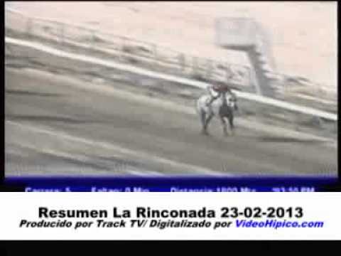 Resumen La Rinconada 23-02-2013