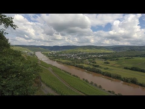 Moselsteig / Etappe 10: Kesten/Osann-Monzel - Bernkastel-Kues / Wandern und Geocaching