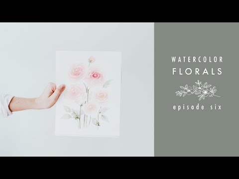 How To Paint a Ranunculus: Watercolor Florals Episode Six Video