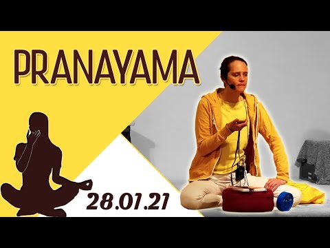 Fortgeschrittenes Pranayama mit Chitra - Yoga Vidya Live 06:00 - 28.01.2021