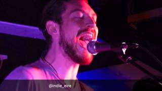 Little Matador in Bangor