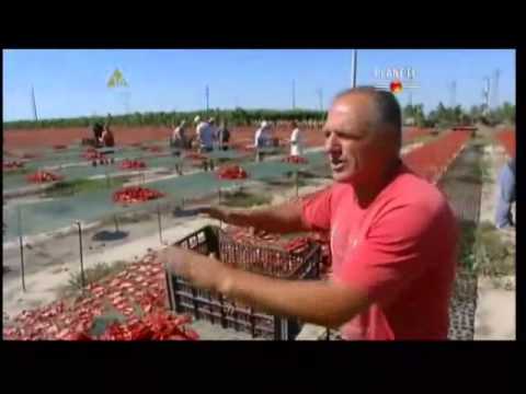 Współczesne niewolnictwo