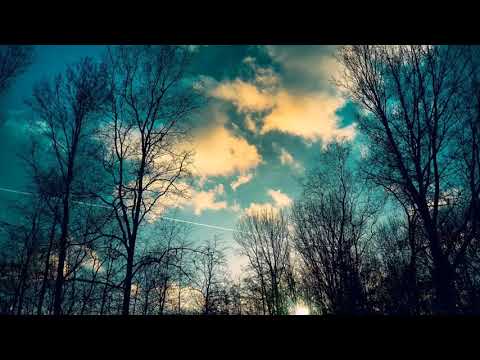 Puiu Chibici – ÎN SLAVITU-TI NUME MARE