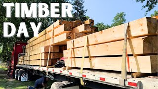 TIMBERS ARRIVED //  I Push My Tractor To The MAX!  EP. 6