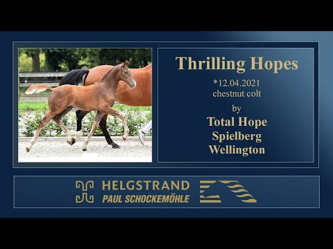 04 Thrilling Hopes by Total Hope - Spielberg - Wellington