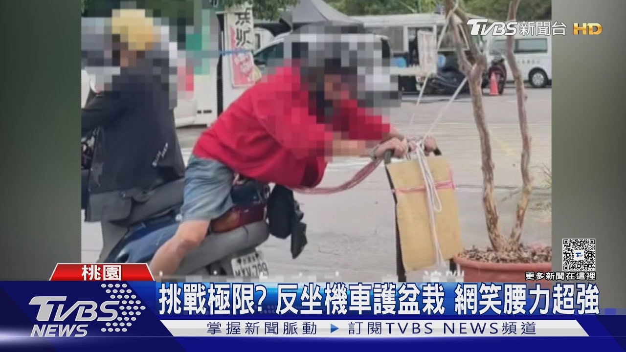 阿北騎車「超狂反坐姿勢」拉盆栽 警方火速開罰了!
