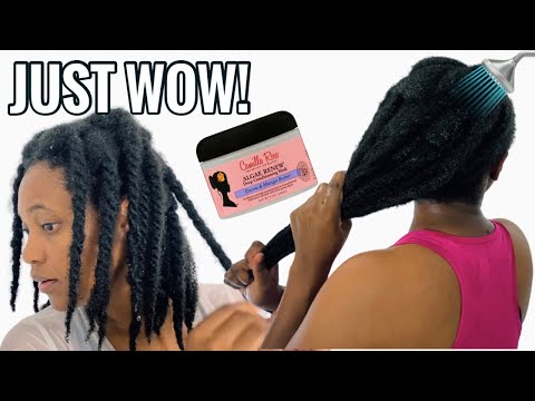 Camille Rose Algea Renew Deep conditioner on VERY DRY...