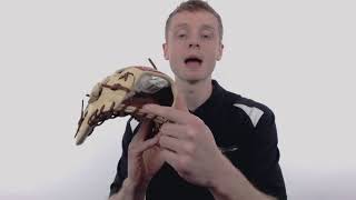 Video thumbnail: Review: Kris Bryant's Rawlings Pro Preferred 12.25" Baseball Glove (PROSKB17)