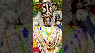 Download lagu Natham Mariamman Tiruvizha 2025 mp3