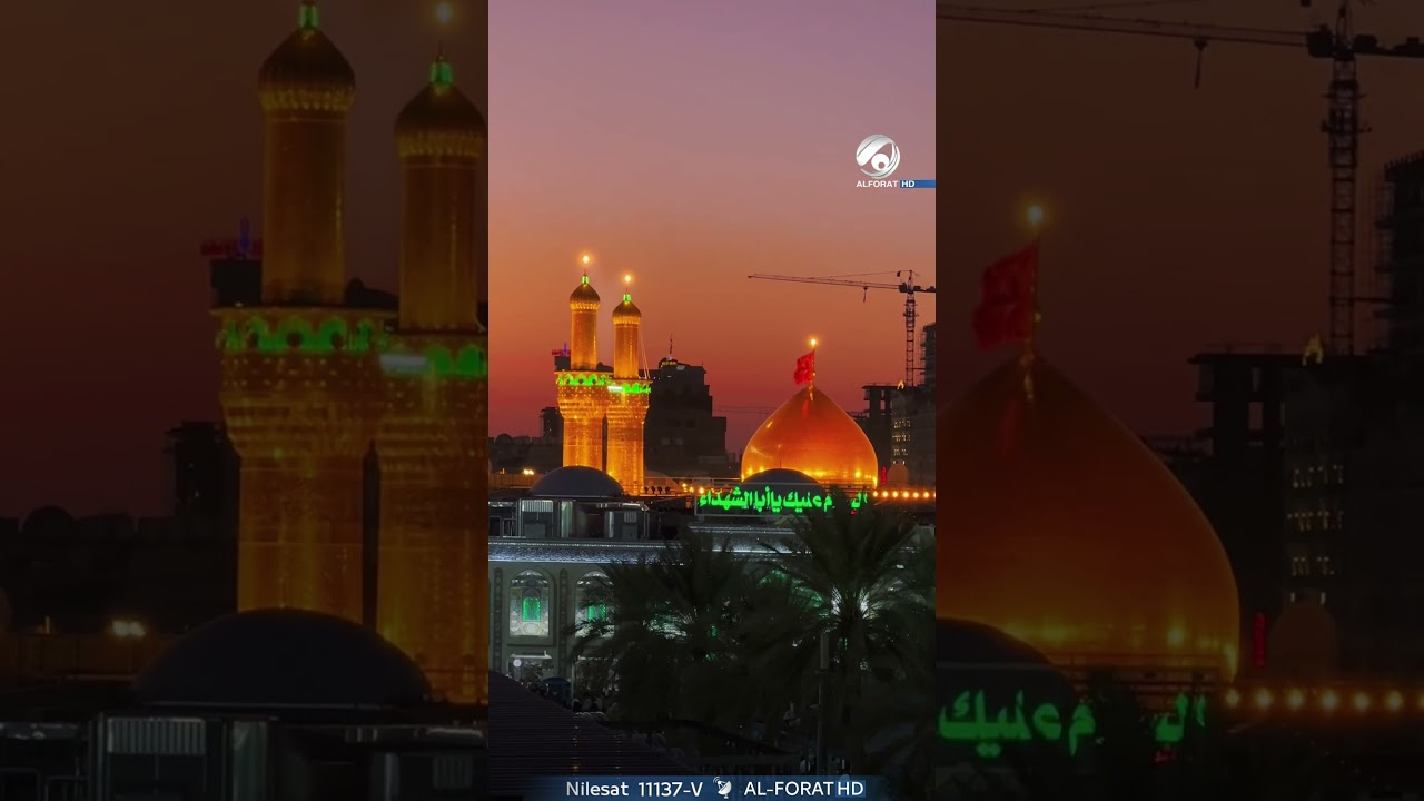 فيديو | في كربلاء المقدسة ينير الجمال كل الدروب