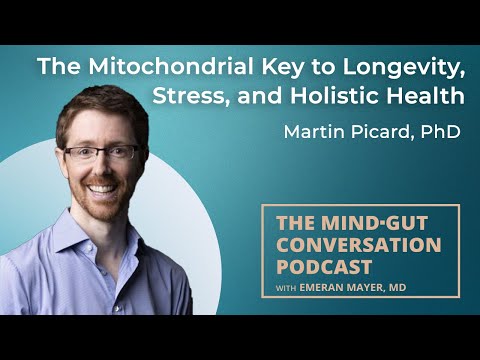 Stress Ages You From the Inside Out