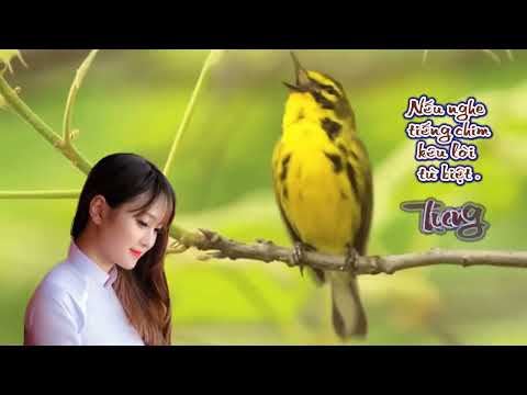 Con đường lá biếc - Minh Đạt