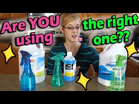 What's the Best Disinfectant for Reptile Enclosures?