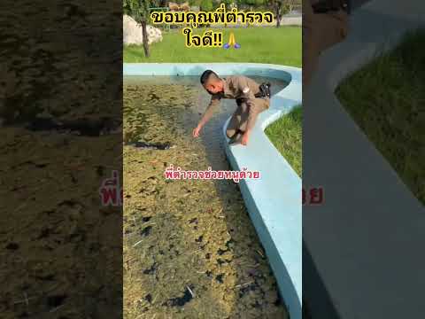 ความซนของเด็กพลาดตกแล้วขึ้นไม่ได้ว่ายจนหมดแรงดีนะที่มีคนเห็น‼️🐕 #สุนัขแสนรู้ #สุนัขน่ารัก #cutedog