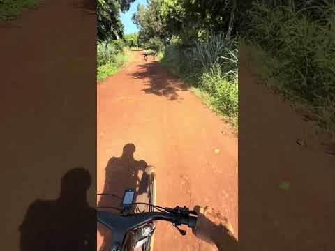 Rio Congonhas em Urai Pr