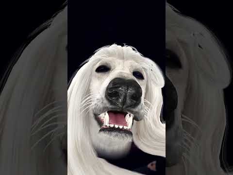 🕺🤠 ku ku ku ku💥🕺