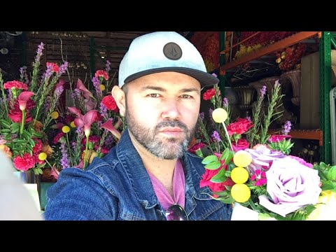 download lagu mp3 mp4 Floristry Warehouse, download lagu Floristry Warehouse gratis, unduh video klip Floristry Warehouse
