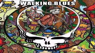 Grateful Dead -  Walkin Blues  - 6/1/1991
