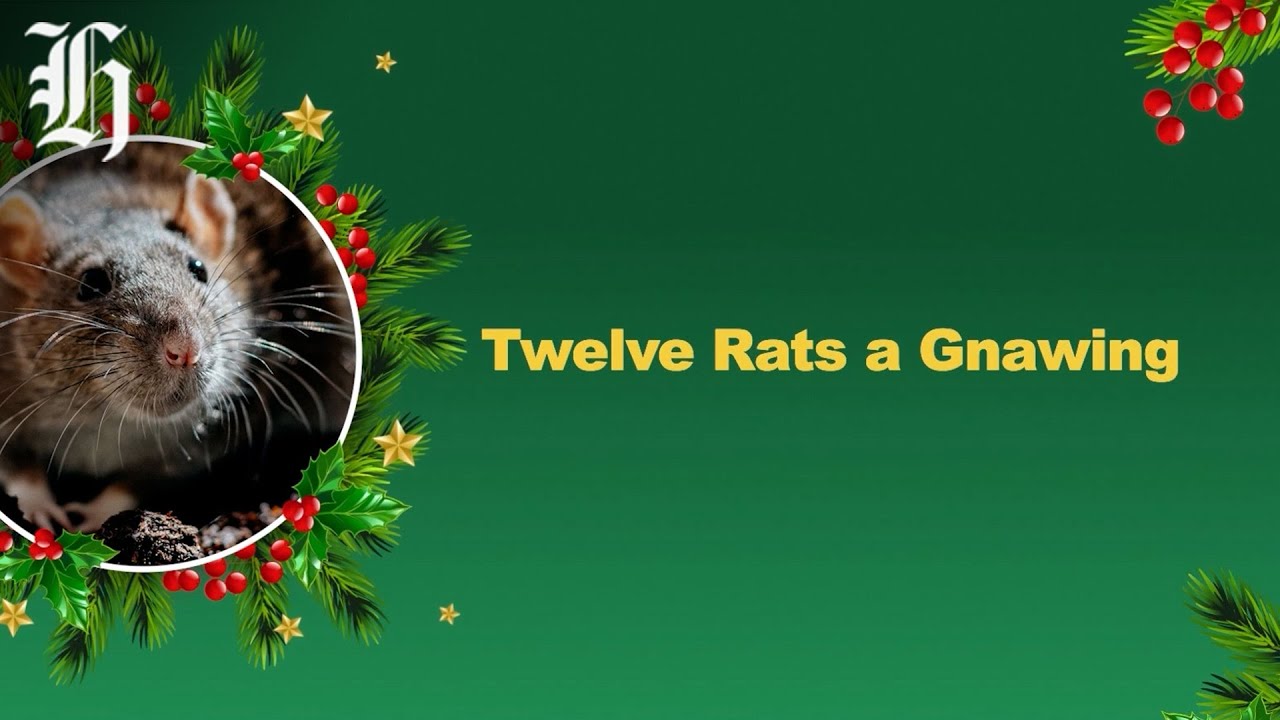 Federated farmers: The 12 pests of Christmas | Herald NOW