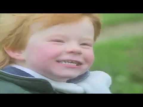 Teletubbies: Walking the Dog