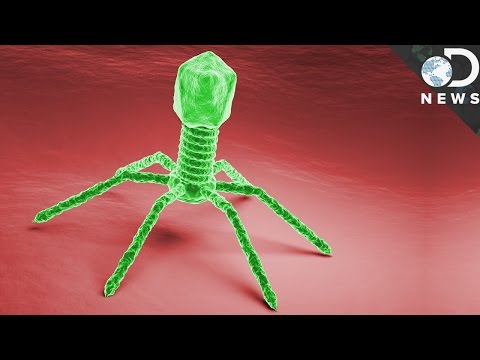 The Secret Soviet Virus That Helps Kill Bacteria