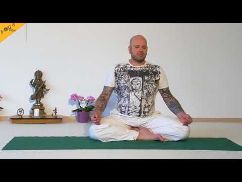 Yoga Vidya Mittelstufe - Yoga zum mitmachen - 107 Minuten mit Vorkenntnissen