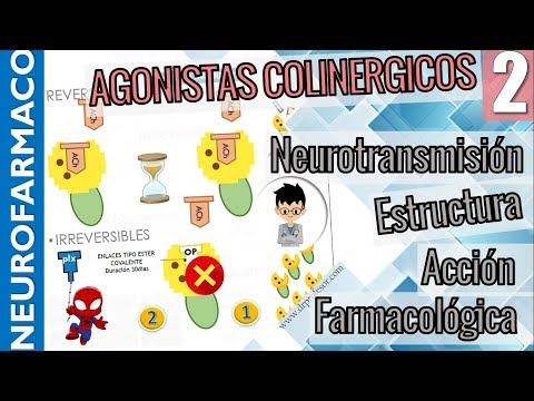 CHOLINERGIC AGONISTS, Structure, Pharmacological Effect, Mechanisms, |PARASYMPATHOMIMETICS|2